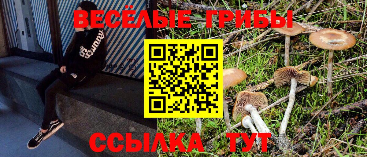 Галлюциногенные грибы Cubensis  Галлюциногенные грибы мицелий  Кстово  Вход с VPN 